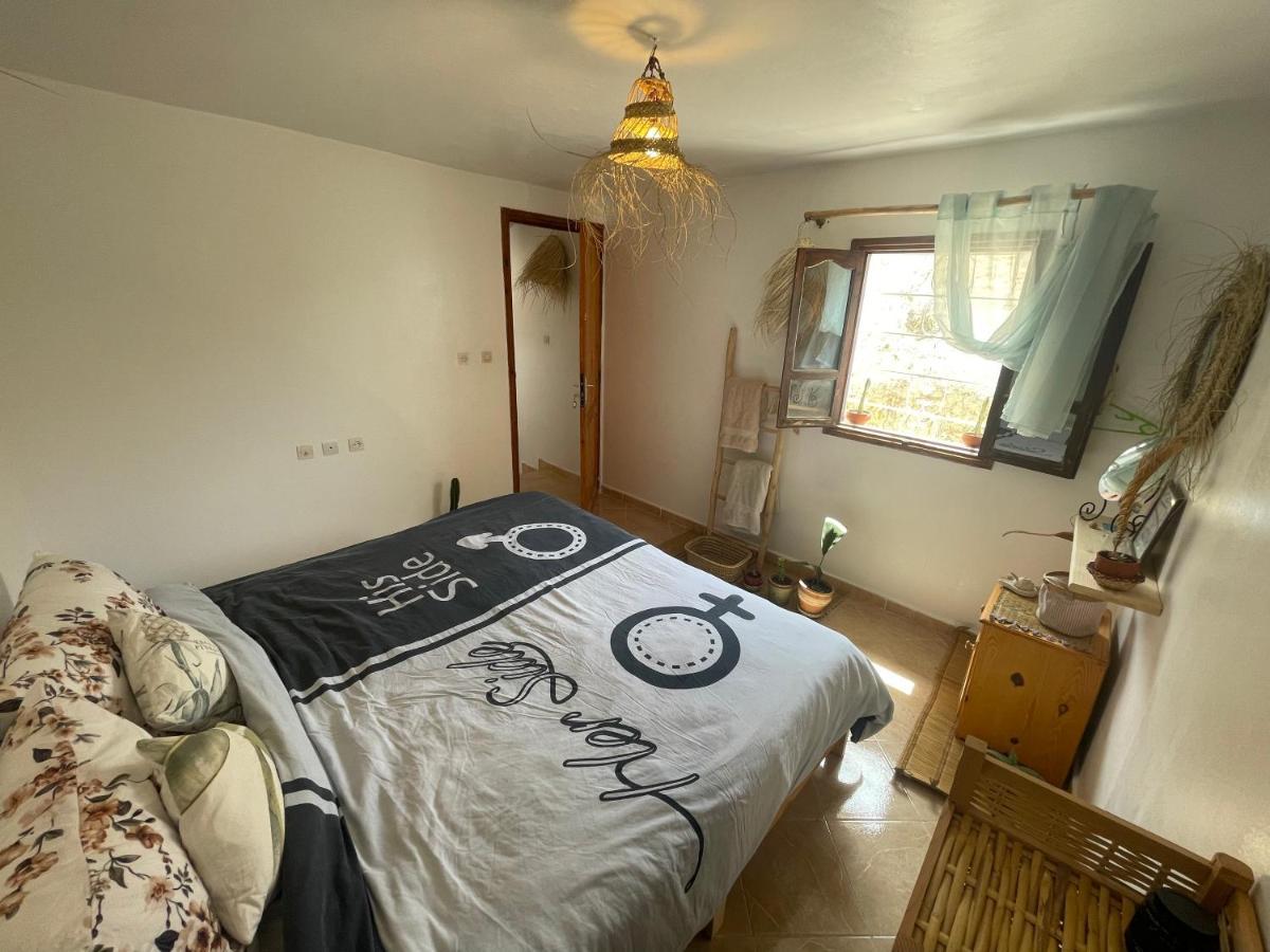 We Surf Morocco Boutique House Vandrehjem Taghazout Eksteriør billede