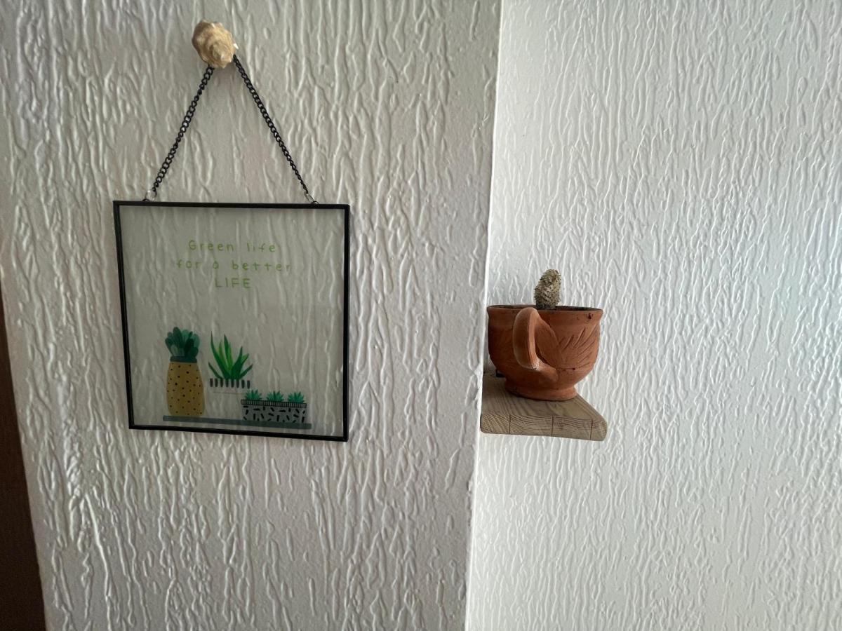 We Surf Morocco Boutique House Vandrehjem Taghazout Eksteriør billede